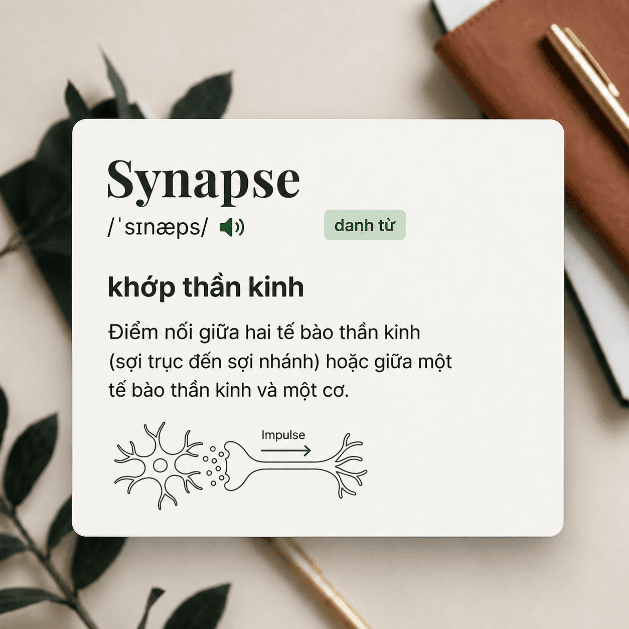 Giao diện từ điển tối giản hiển thị định nghĩa
